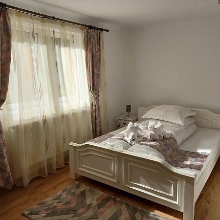 Pensiunea Ana Cristina Sighişoara Extérieur photo