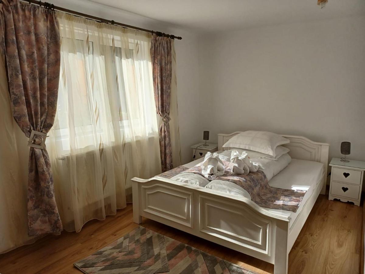 Pensiunea Ana Cristina Sighişoara Extérieur photo