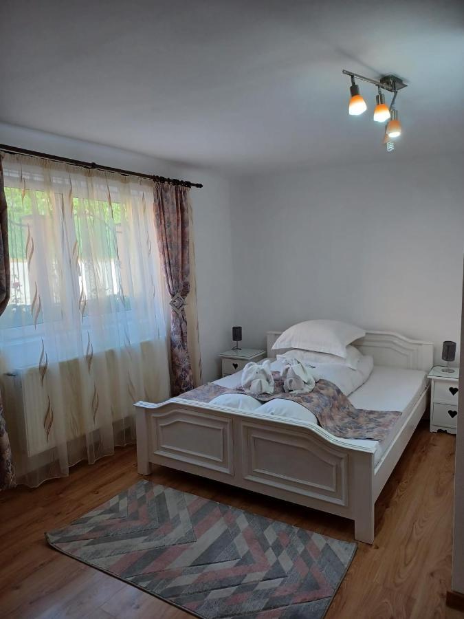 Pensiunea Ana Cristina Sighişoara Extérieur photo