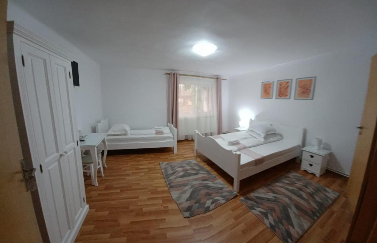 Pensiunea Ana Cristina Sighişoara Extérieur photo
