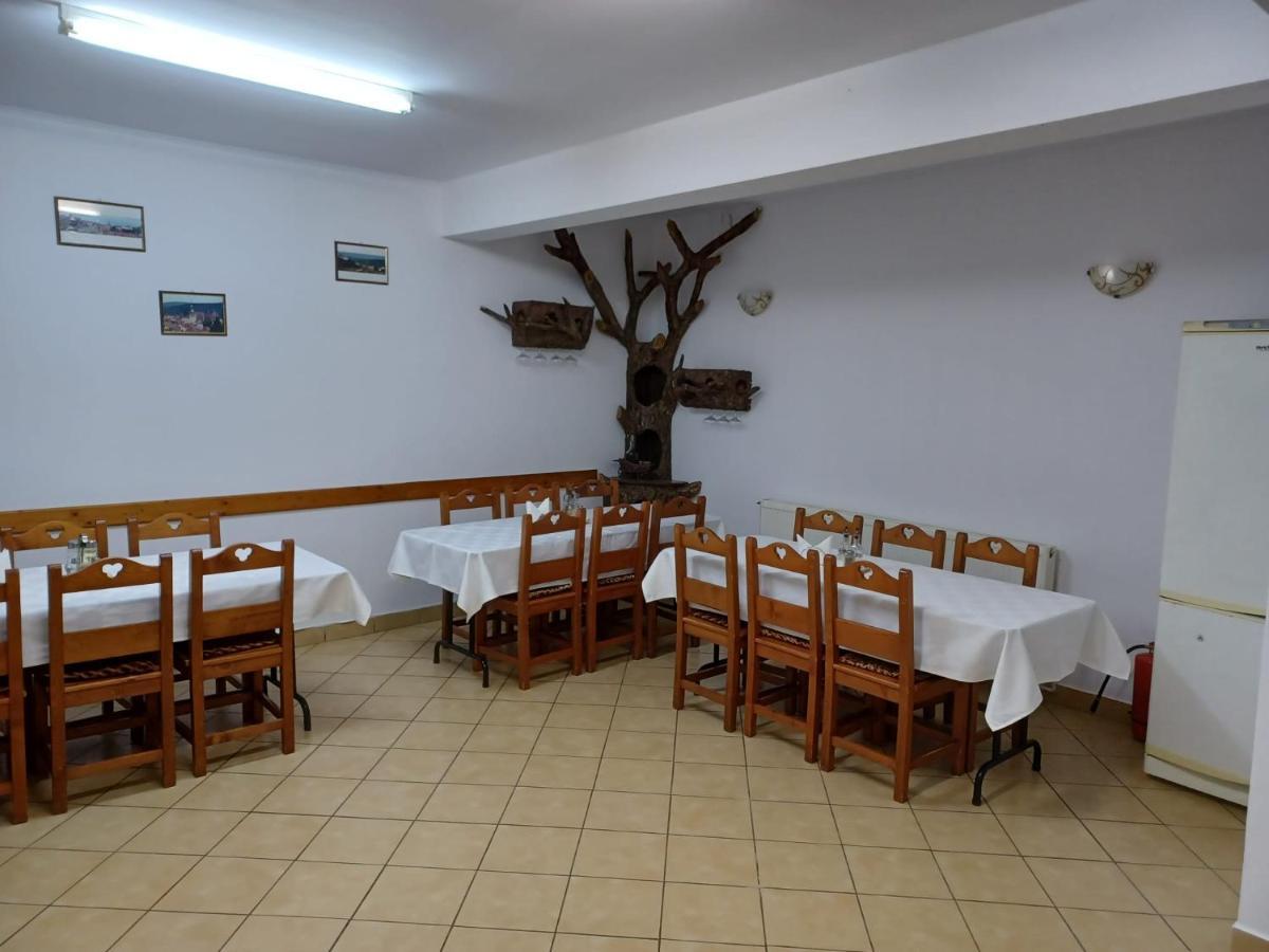 Pensiunea Ana Cristina Sighişoara Extérieur photo