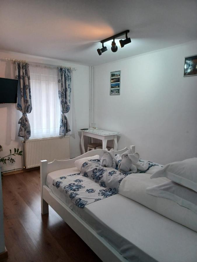 Pensiunea Ana Cristina Sighişoara Extérieur photo